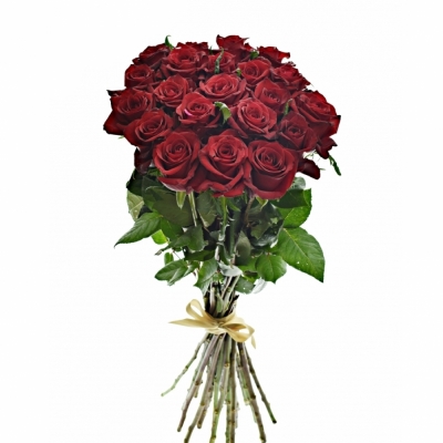 Kytice 21 luxusních růží EVER RED 90cm