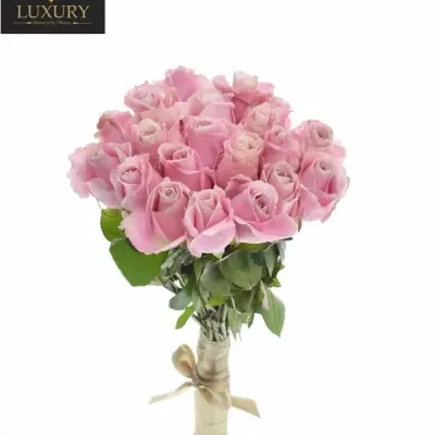 Kytice 21 luxusních růží PINK AVALANCHE+ 50cm