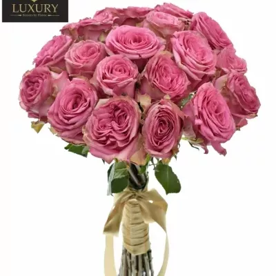 Kytice 21 luxusních růží PINK TORRENT 50cm