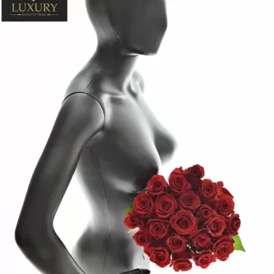 Kytice 21 luxusních růží RED EAGLE 80cm