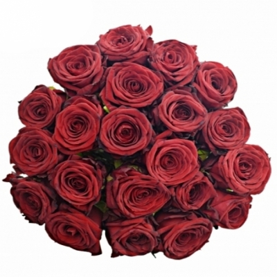 Jednodruhová kytice 21 červených růží RED NAOMI! 70 cm