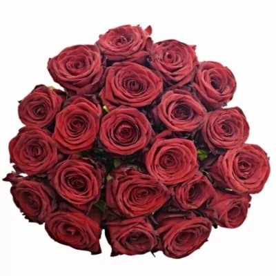 Kytice 21 luxusních růží RED NAOMI! 60cm