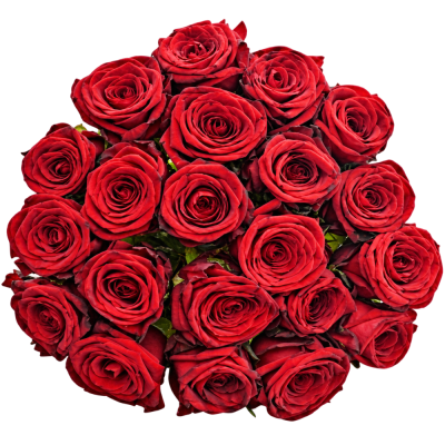 Jednodruhová kytice 21 červených růží RED NAOMI! 80 cm