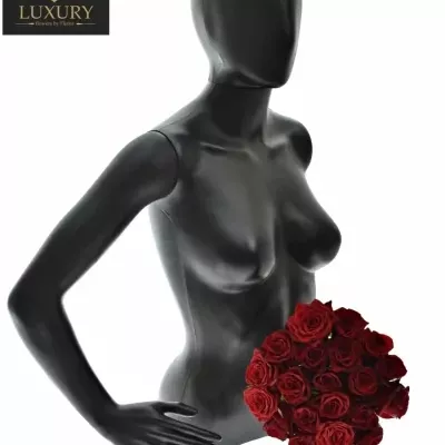 Kytice 21 luxusních růží TESTAROSSA 80cm