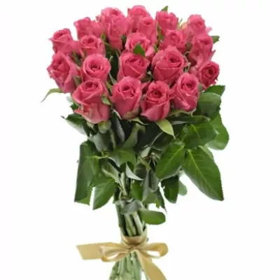 Kytice 21 malinových růží TENGA VENGA 40cm