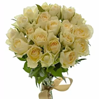 Kytice 21 meruňkových růží ANGELA 35cm