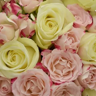 Kytice 21 míchaná  FLEXSTORM 40cm ø20cm