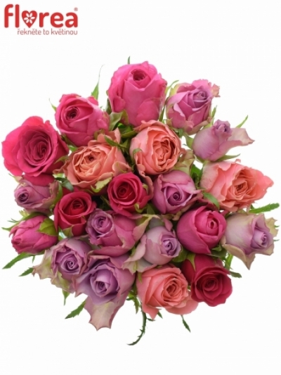 Kytice 21 míchaných růží ABERA 50cm