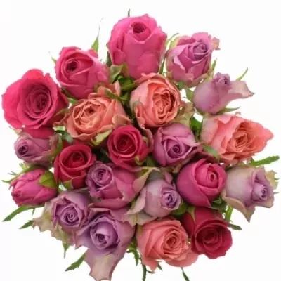 Míchaná kytice 21 vícebarevných růží ABERA 40 cm