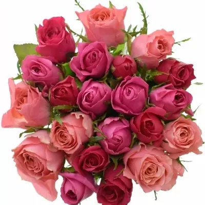 Míchaná kytice 21 vícebarevných růží ABERIA 60 cm