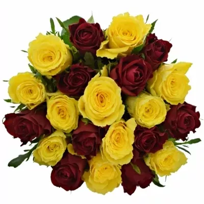 Míchaná kytice 21 vícebarevných růží ANATOLA 70 cm