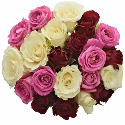 Míchaná kytice 21 vícebarevných růží BELLESIANA 50 cm