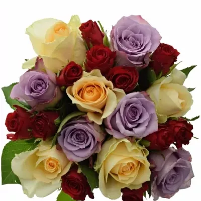 Míchaná kytice 21 vícebarevných růží BLUE AGATA 50 cm