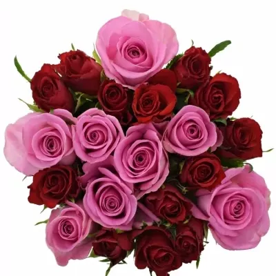 Míchaná kytice 21 vícebarevných růží DELIANNE 40 cm