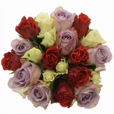 Míchaná kytice 21 vícebarevných růží DESIREE 40 cm