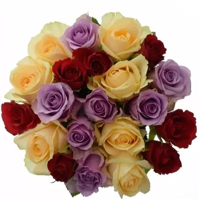 Míchaná kytice 21 vícebarevných růží DEVORAH 40 cm