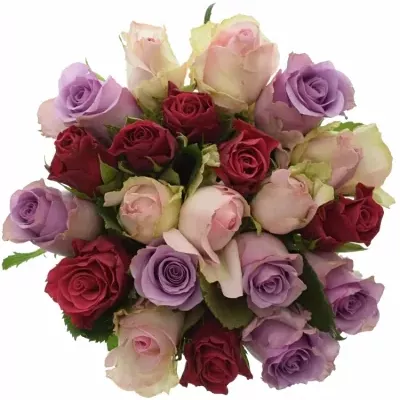 Míchaná kytice 21 vícebarevných růží DIANNE 50 cm