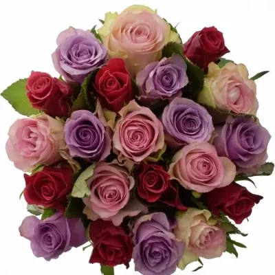 Kytice 21 vícebarevných růží DINORAH 50 cm