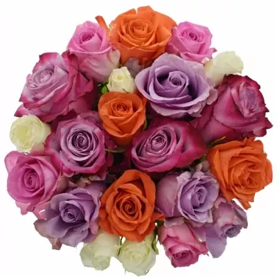 Míchaná kytice 21 vícebarevných růží DOLORRES 55 cm