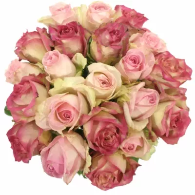 Kytice 21 míchaná EVGENIA 40cm