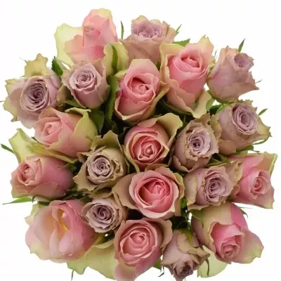 Míchaná kytice 21 vícebarevných růží IKIA 60 cm