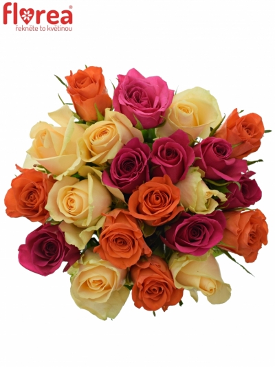 Kytice 21 míchaných růží KIMI CANDRA 50cm