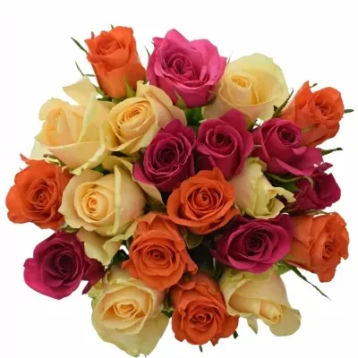 Míchaná kytice 21 vícebarevných růží KIMI CANDRA 50 cm