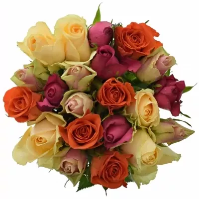 Míchaná kytice 21 vícebarevných růží KIMI MELORA 50 cm
