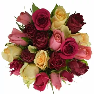 Míchaná kytice 21 vícebarevných růží LILA MELORA 60 cm