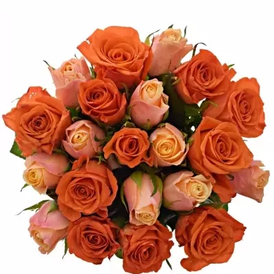 Míchaná kytice 21 vícebarevných růží ORANGE CANDRA 40 cm