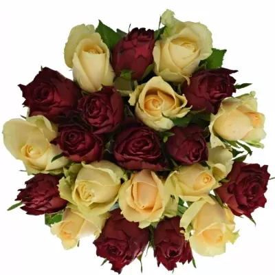 Míchaná kytice 21 vícebarevných růží PEACH MELORA 45 cm