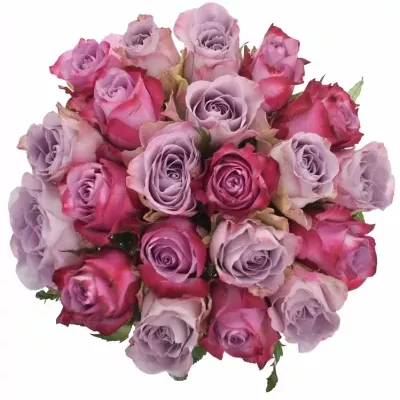 Míchaná kytice 21 vícebarevných růží PENELOPA 70 cm
