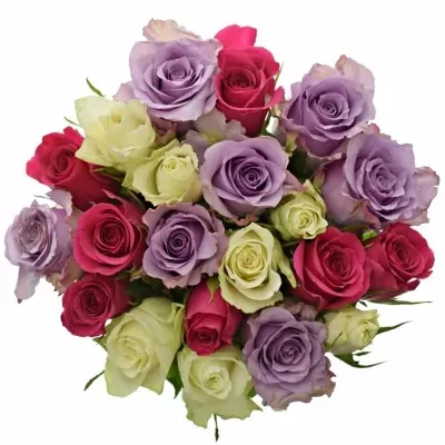 Míchaná kytice 21 vícebarevných růží RONI 50 cm