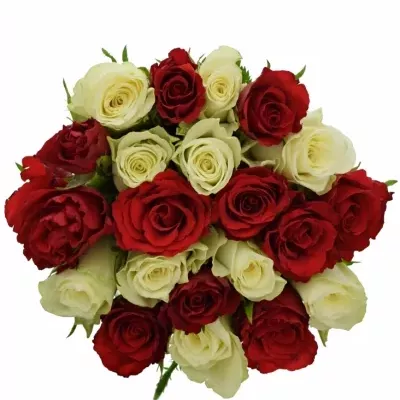 Kytice 21 míchaných růží AGATHA 40cm