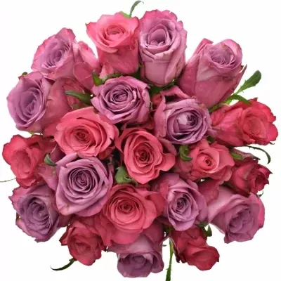 Míchaná kytice 21 vícebarevných růží BENAYA 40 cm