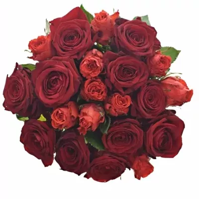Míchaná kytice 21 vícebarevných růží BERENIKE 60 cm