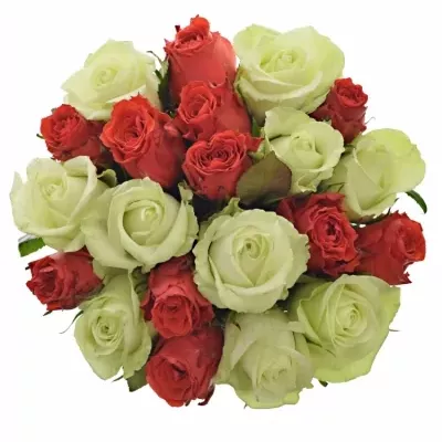 Míchaná kytice 21 vícebarevných růží BRITTANY 50 cm