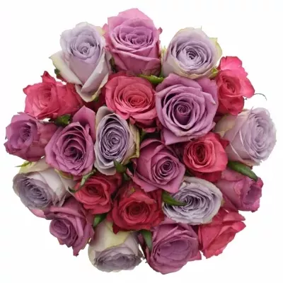 Míchaná kytice 21 vícebarevných růží DARIELLA 40 cm