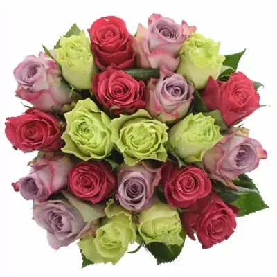 Míchaná kytice 21 vícebarevných růží FRANCESCA 60 cm
