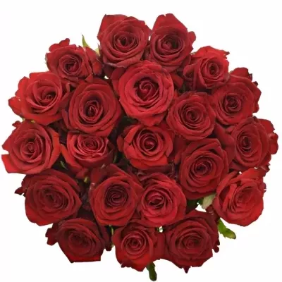 Kytice 21 míchaných růží JOANNA 90cm