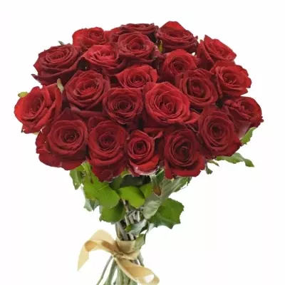 Kytice 21 míchaných růží JOANNA 55cm
