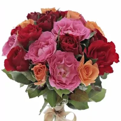 Kytice 21 míchaných růží KATRIEL 35cm