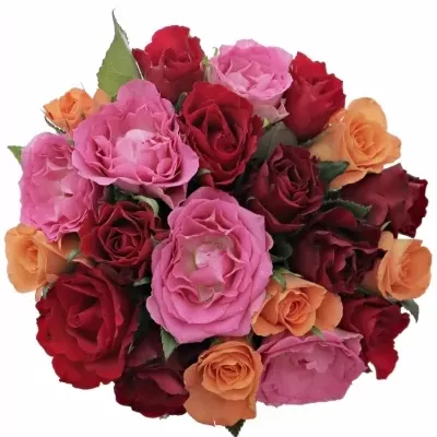 Míchaná kytice 21 vícebarevných růží KATRIEL 50 cm