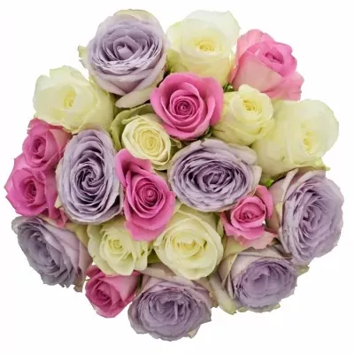 Míchaná kytice 21 vícebarevných růží LIGHT LORRIESS 50 cm