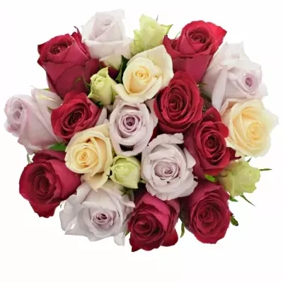 Míchaná kytice 21 vícebarevných růží LORRIESS 50 cm