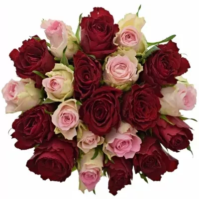 Míchaná kytice 21 vícebarevných růží MADAM BISOU 50 cm