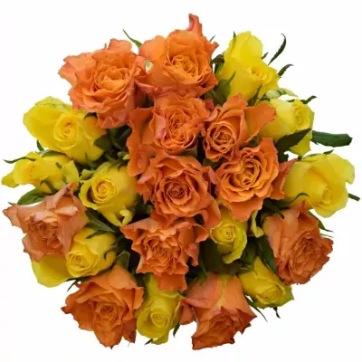 Míchaná kytice 21 vícebarevných růží MARYWALK 50 cm