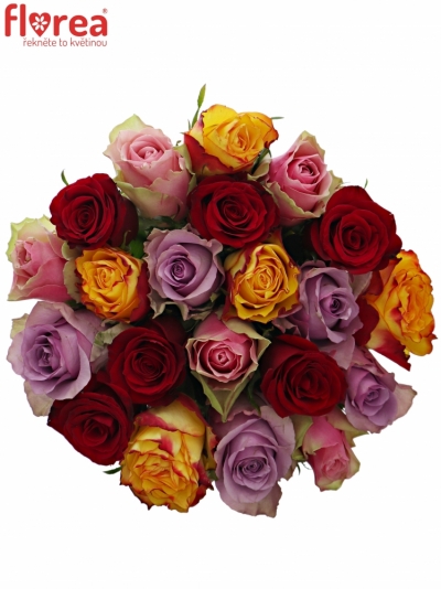 Kytice 21 míchaných růží MIRIAM 40cm