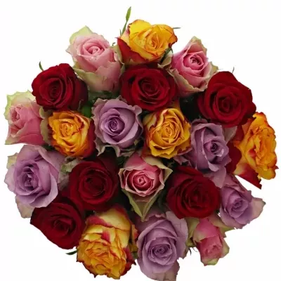 Kytice 21 míchaných růží MIRIAM 45cm