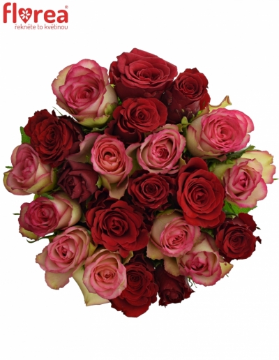Kytice 21 míchaných růží ODETTE 40cm
